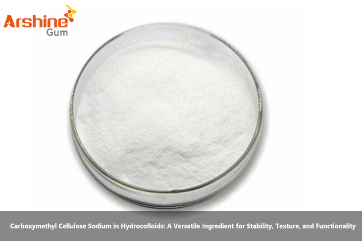 Carboxymethyl Cellulose Sodium in Hydrocolloids: A Versatile Ingredient for Stability, Texture, and Functionality