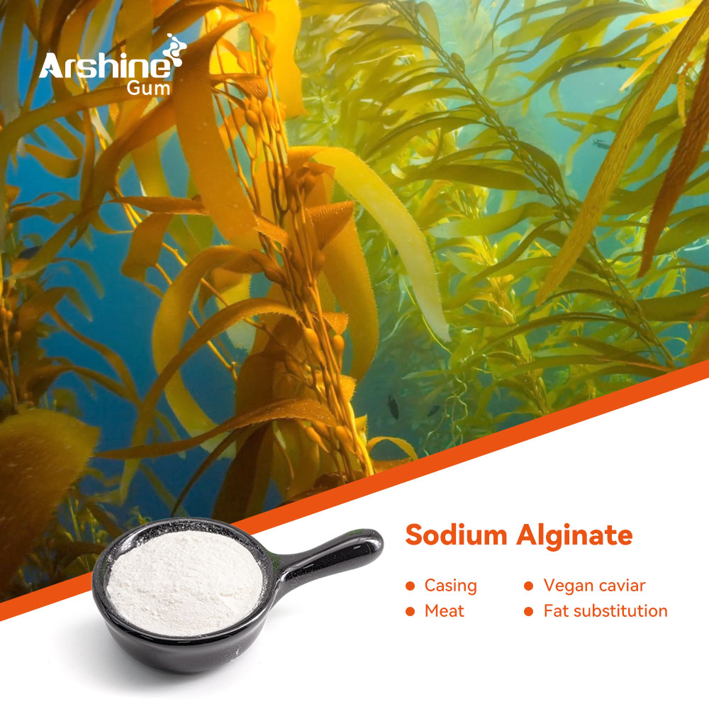 01-Sodium-Alginate